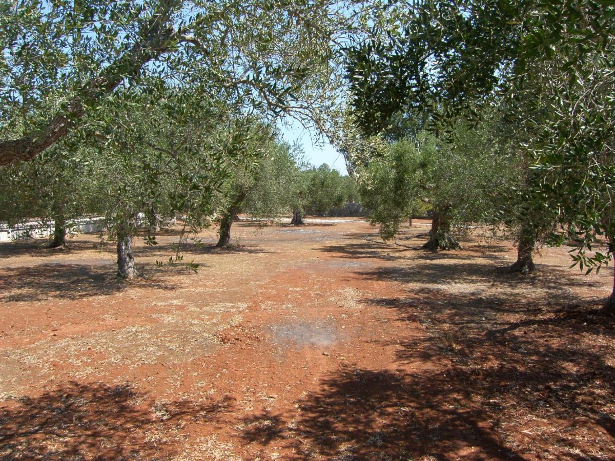 Villa Miliceddu Tricase Dış mekan fotoğraf