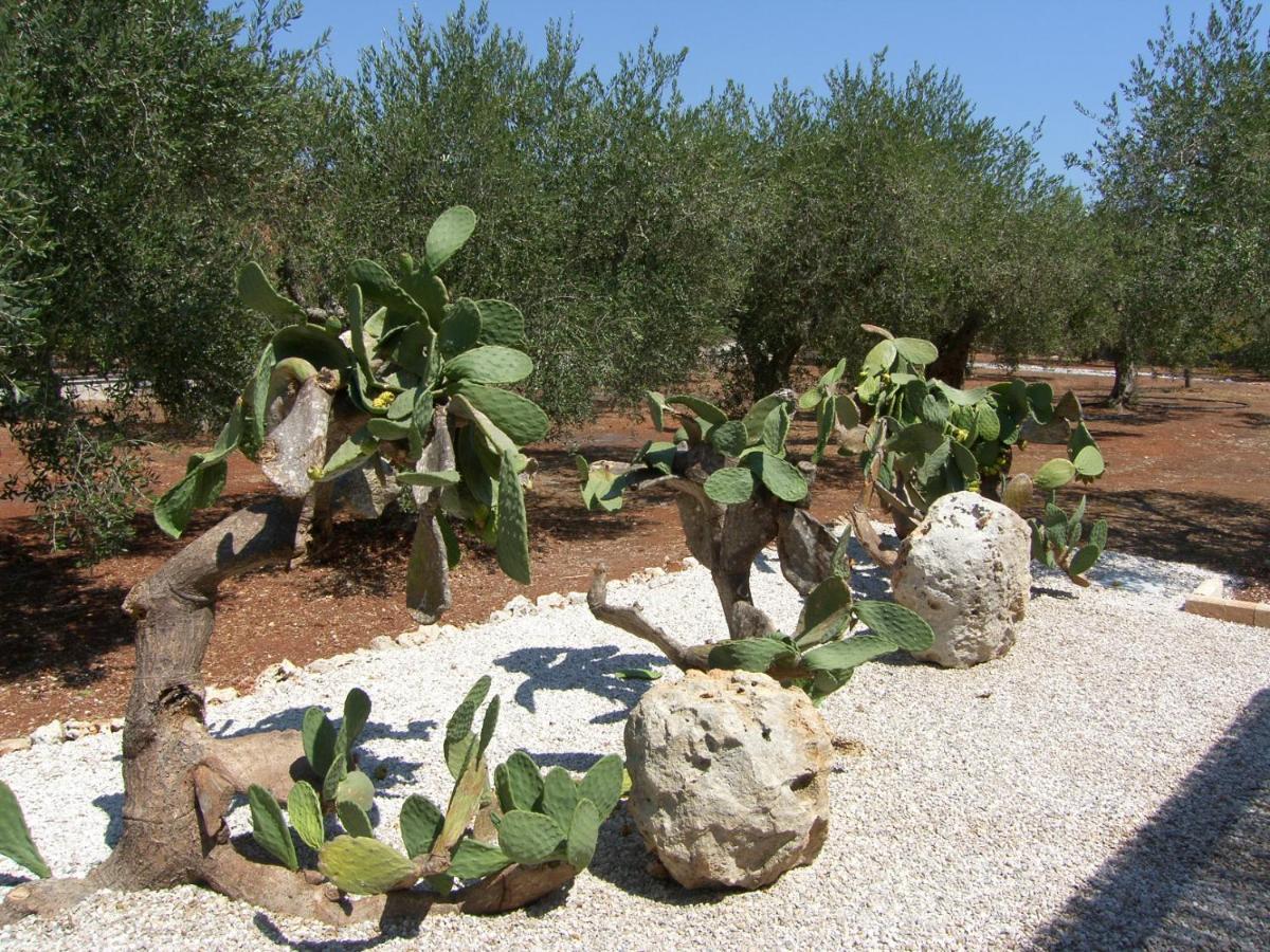 Villa Miliceddu Tricase Dış mekan fotoğraf